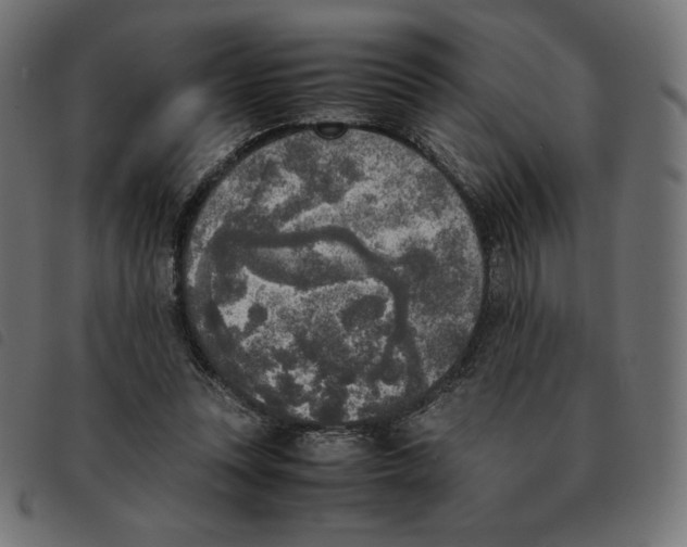 X0000092330351200710121538