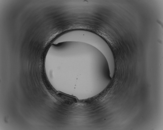 X0000092330352200710121538
