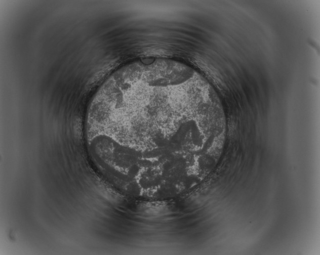 X0000092330353200710121538