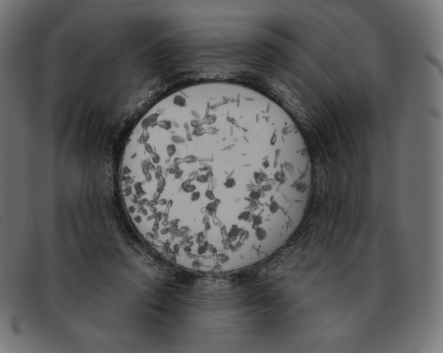 X0000092330354200710121538