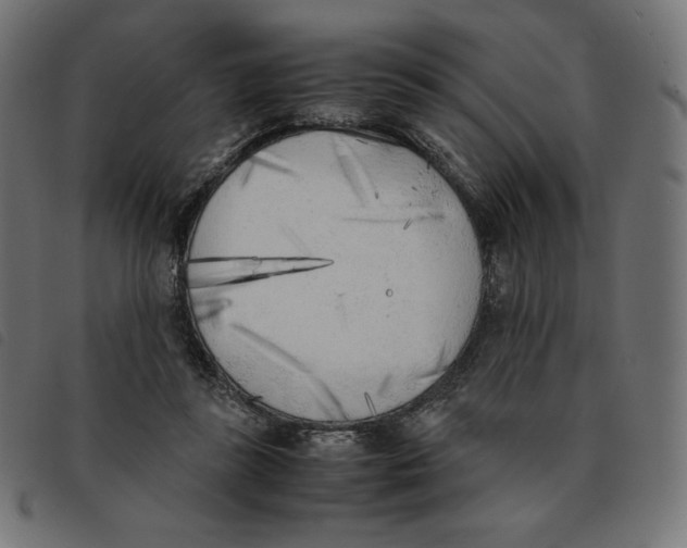 X0000092330355200710121538