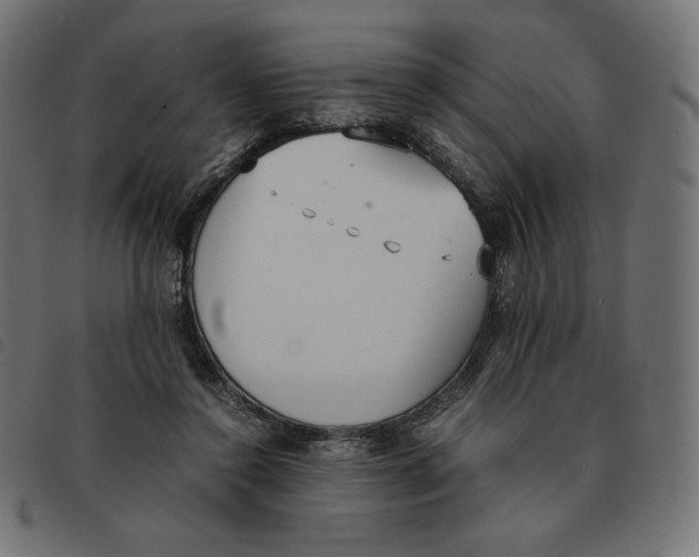 X0000092330356200710121539