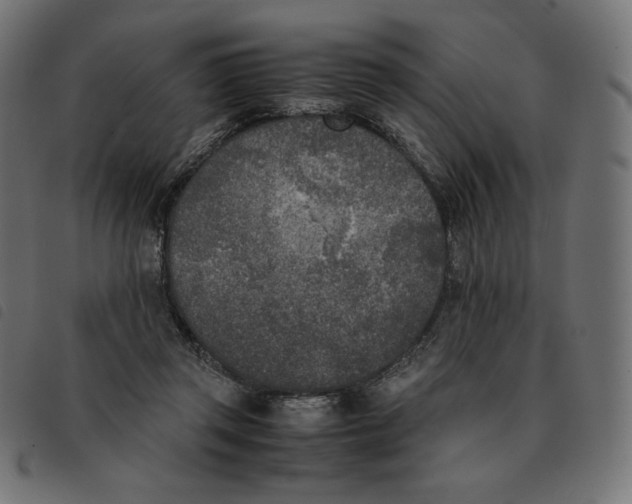 X0000092330357200710121539