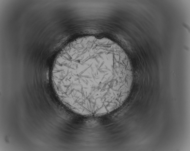 X0000092330358200710121539