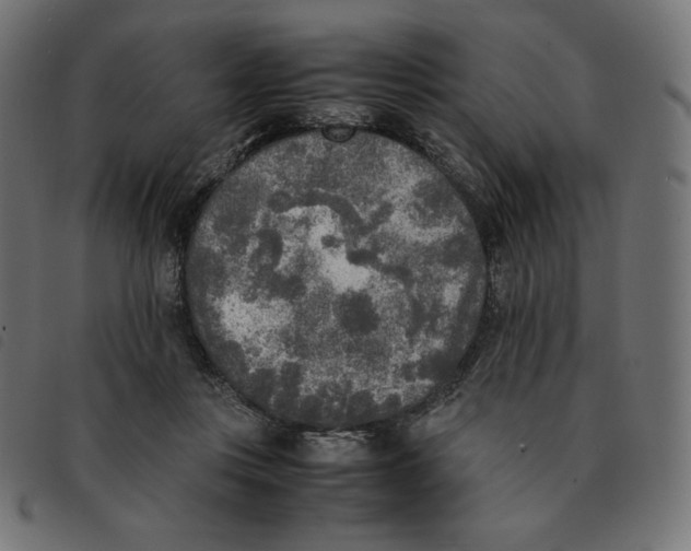 X0000092330359200710121539