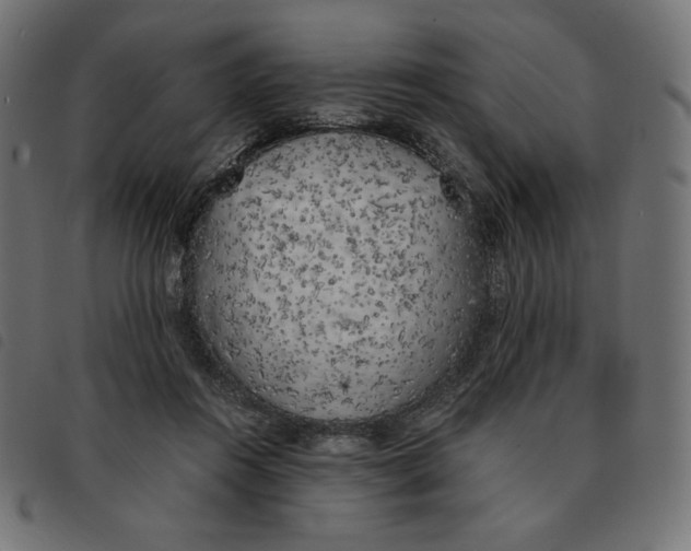 X0000092330360200710121539
