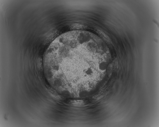 X0000092330361200710121539