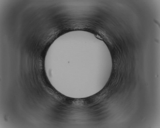 X0000092330362200710121539