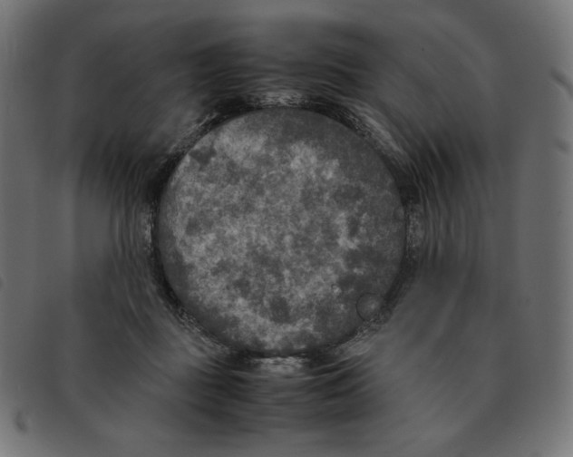 X0000092330363200710121539