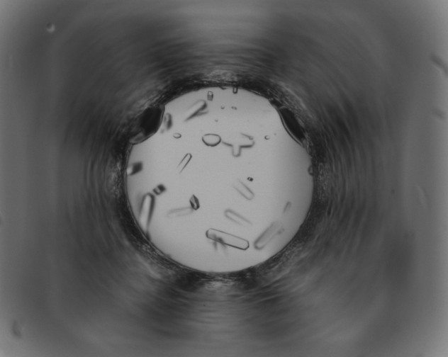 X0000092330364200710121539