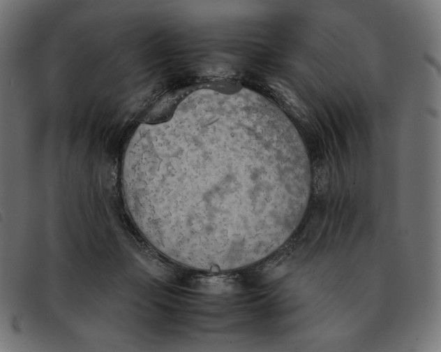 X0000092330365200710121539