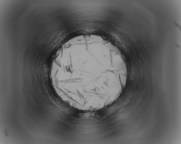 X0000092330366200710121539