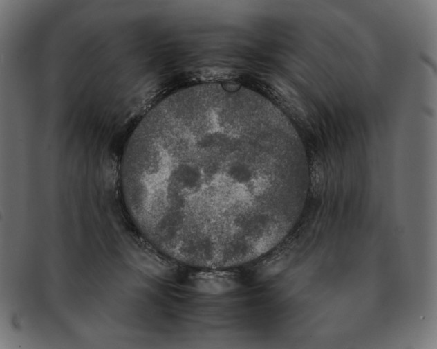 X0000092330367200710121539