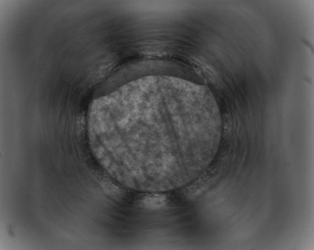 X0000092330369200710121539