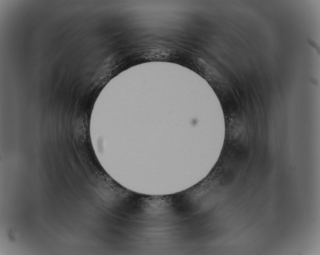 X0000092330370200710121539