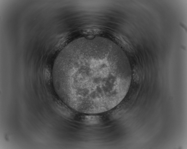 X0000092330371200710121539