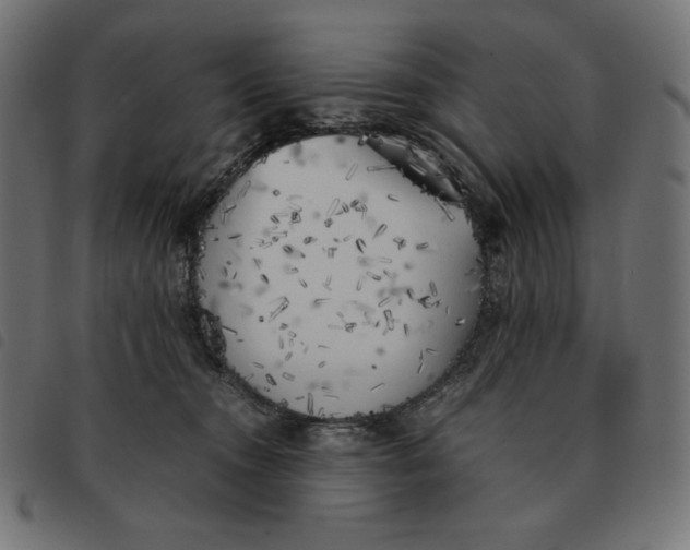 X0000092330372200710121539