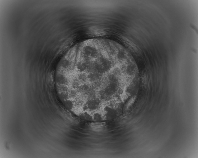 X0000092330373200710121539