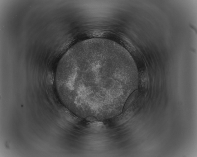 X0000092330374200710121539