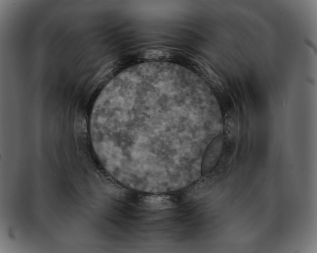 X0000092330375200710121539
