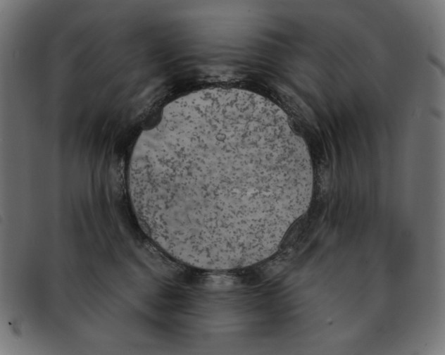 X0000092330376200710121539