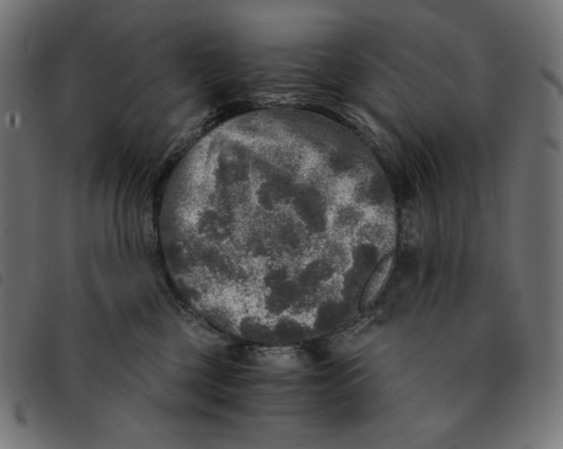 X0000092330377200710121539