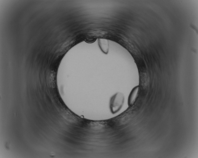 X0000092330378200710121539