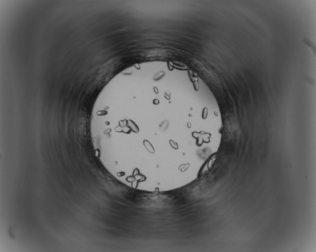 X0000092330379200710121539