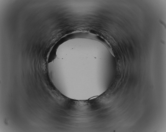 X0000092330380200710121539