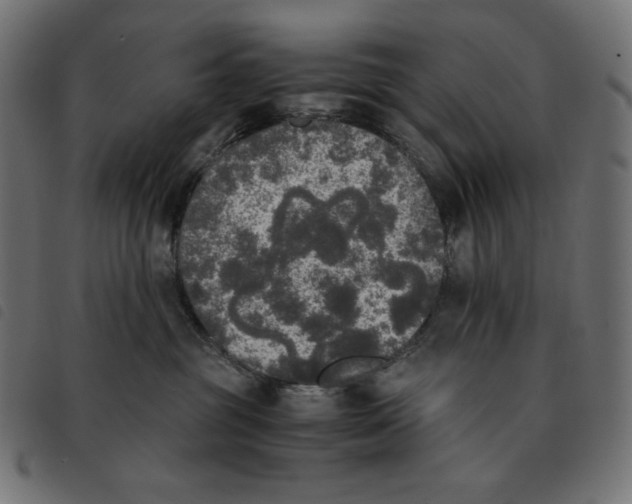 X0000092330381200710121539