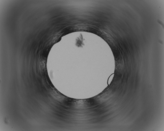 X0000092330382200710121539