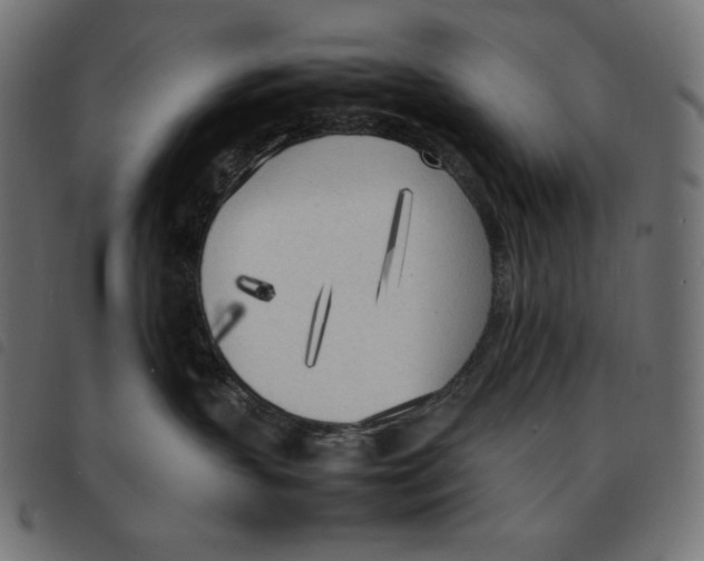 X0000092330383200710121539