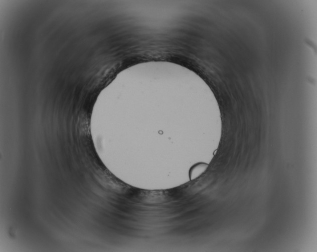 X0000092330384200710121539
