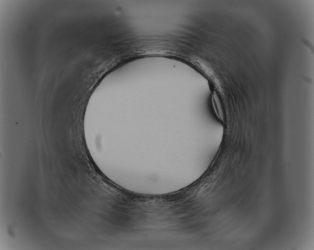 X0000092330385200710121538