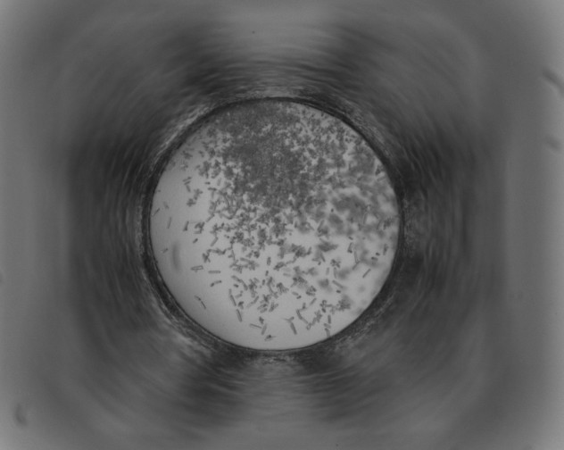 X0000092330386200710121538