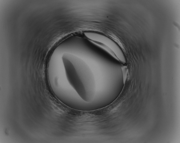 X0000092330387200710121538
