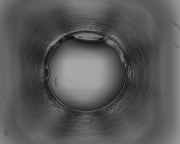 X0000092330388200710121538