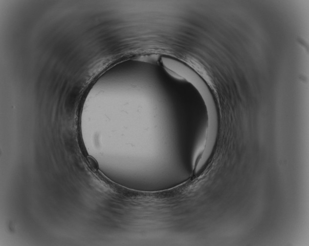 X0000092330389200710121538