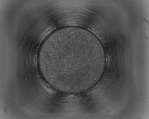 X0000092330390200710121538