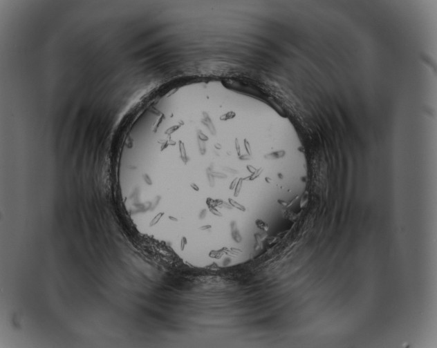 X0000092330392200710121538