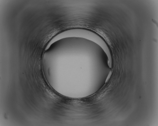 X0000092330393200710121538