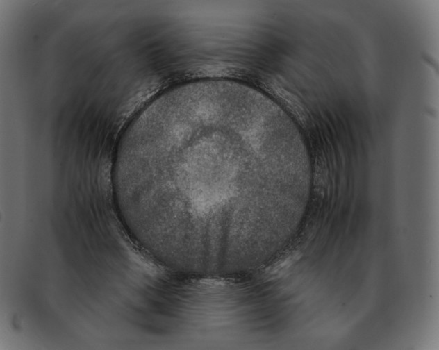 X0000092330394200710121538