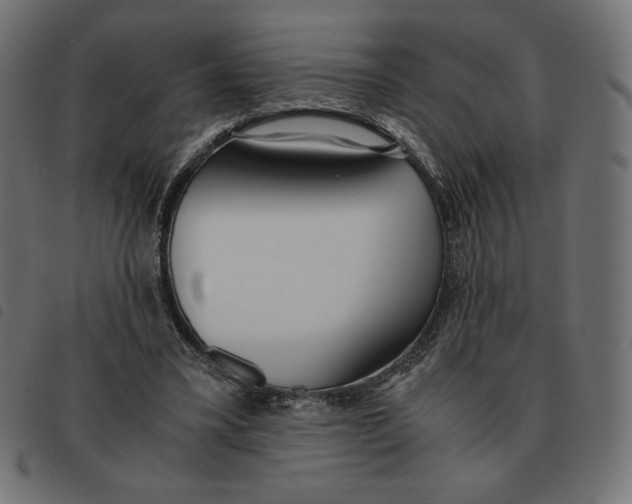 X0000092330395200710121538