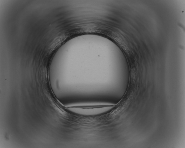 X0000092330397200710121538