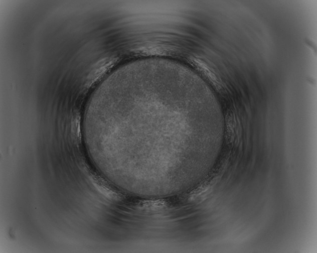 X0000092330398200710121538