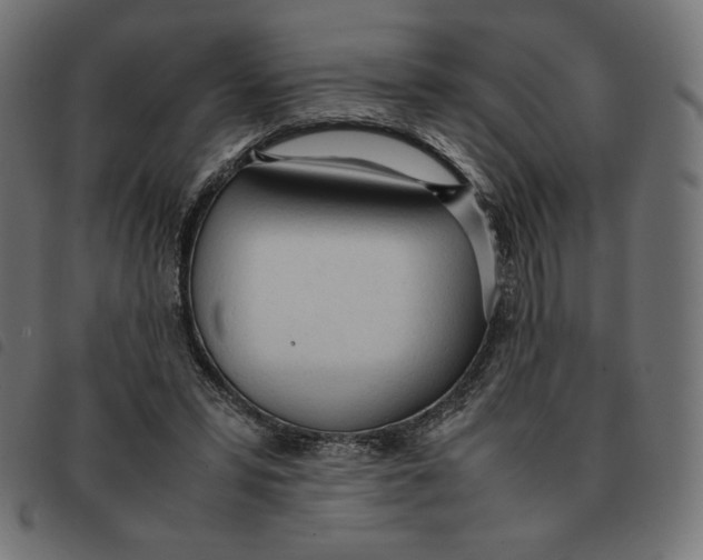 X0000092330399200710121538