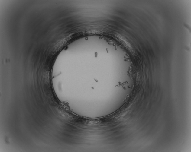 X0000092330401200710121538