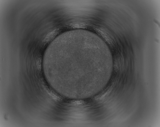 X0000092330402200710121538