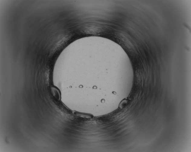 X0000092330404200710121538