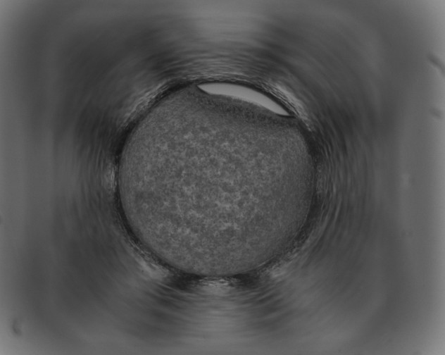 X0000092330405200710121538